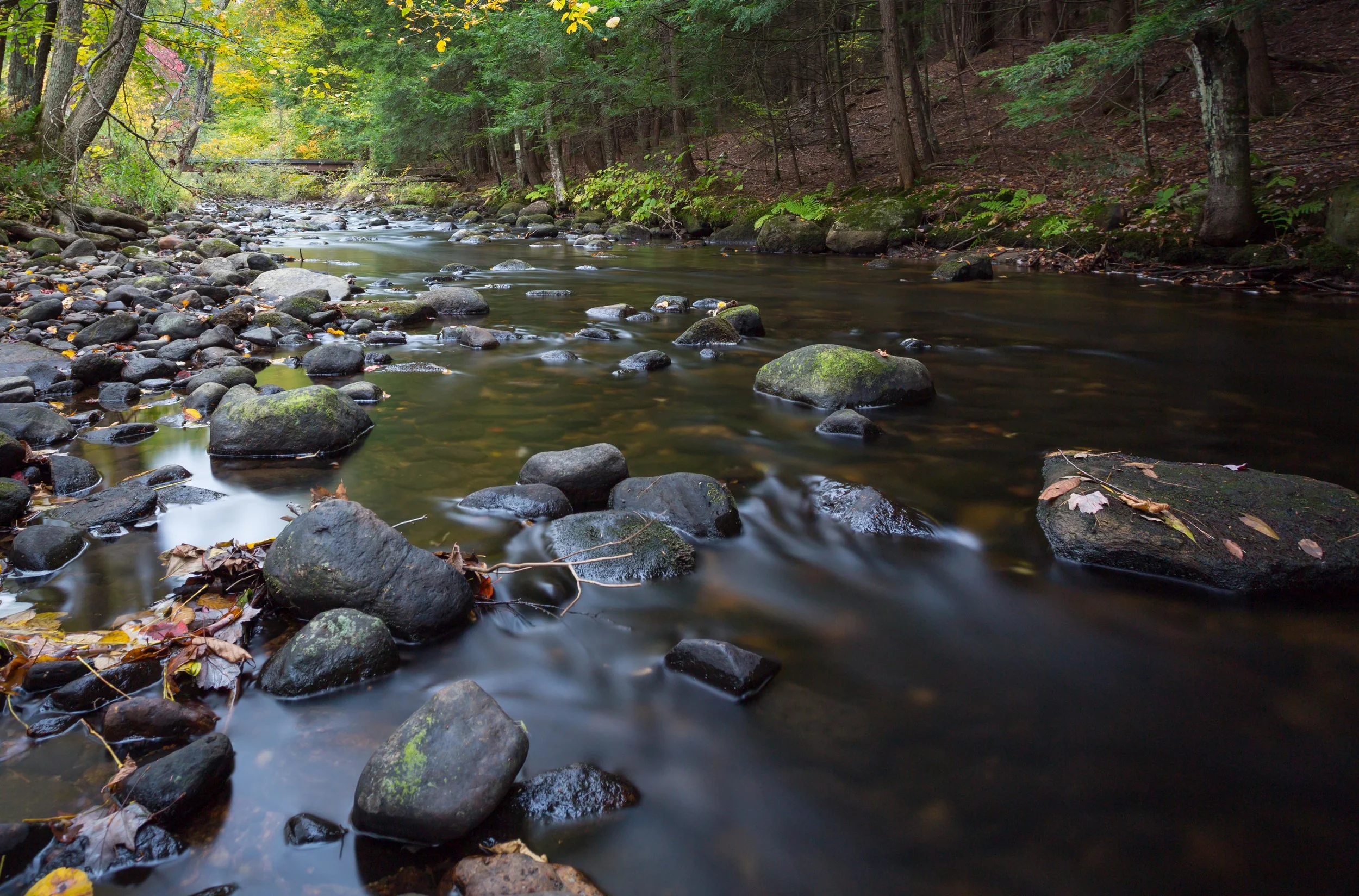 New Hampshire 2013-2.jpg