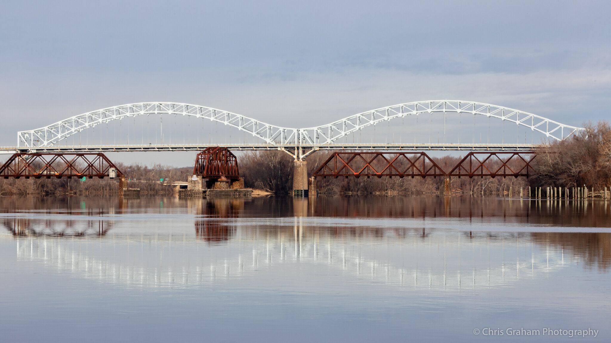 Arrigoni reflections 