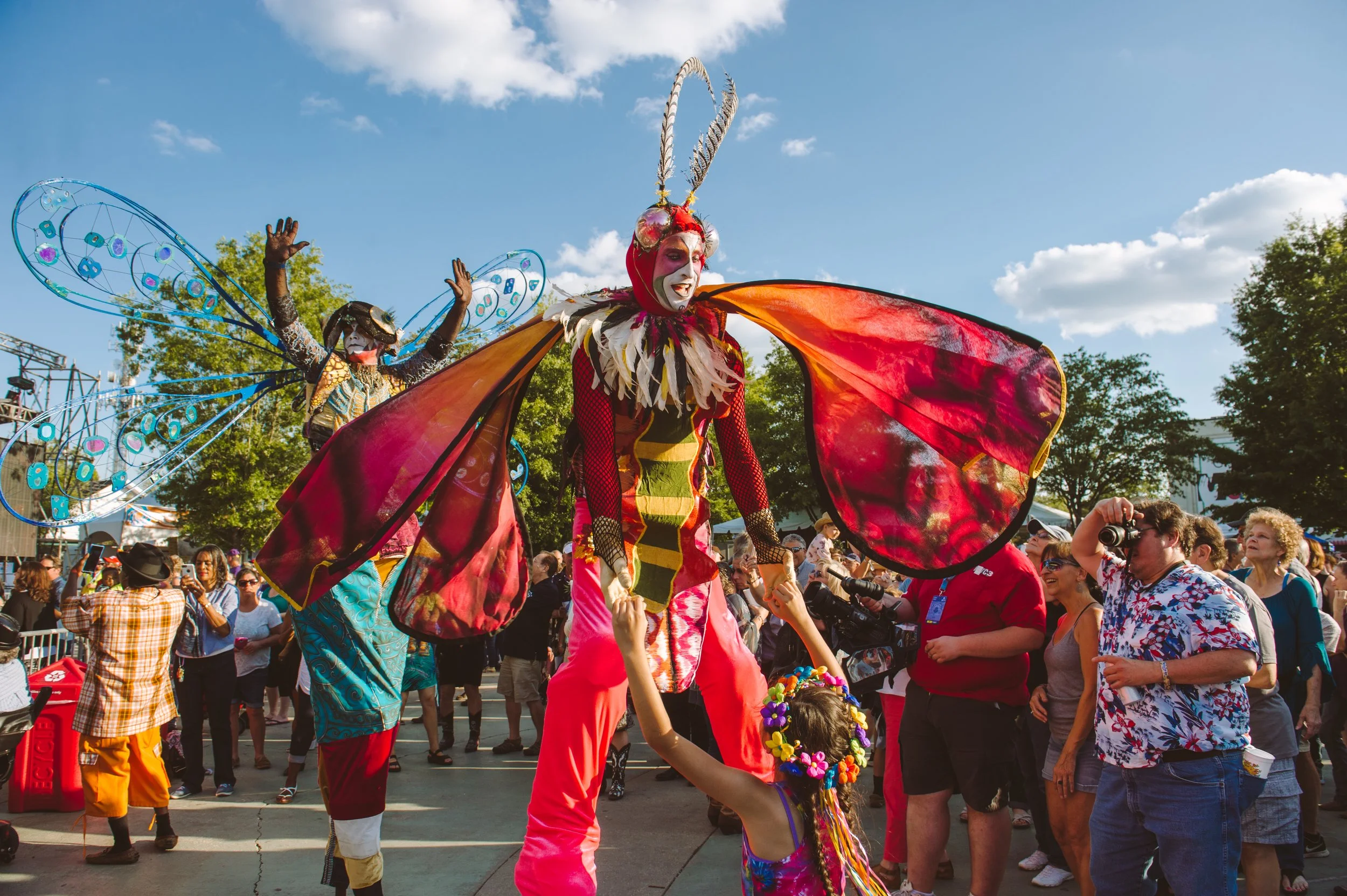 Wonder Option (FIL).jpg