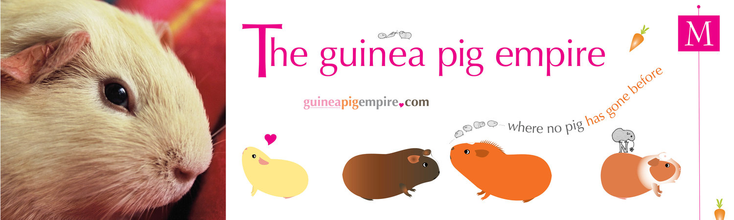the guinea pig empire