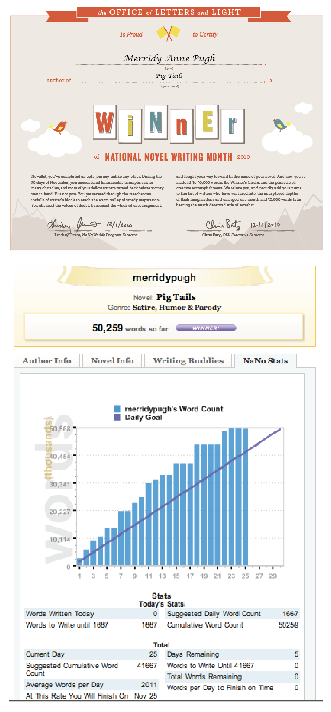 NaNoWriMo 2010 for GPE blog.png