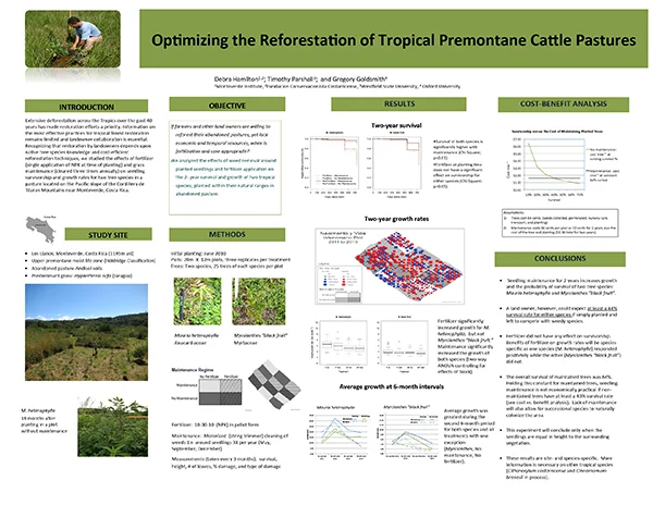 Poster: “ Optimizing the reforestation of tropical premontane cattle pasture through fertilization and grass maintenance”.