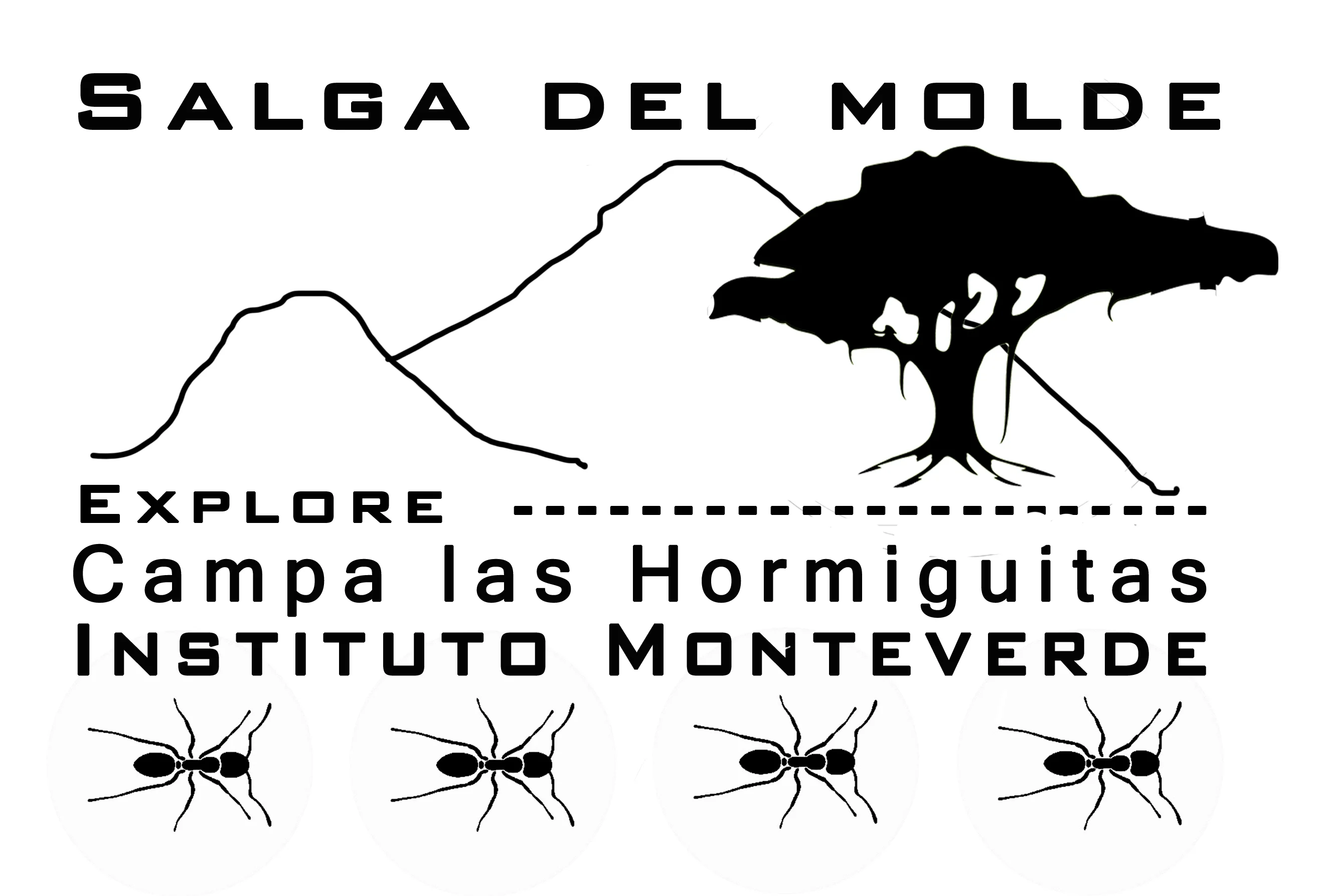 Campamento de Hormiguitas - Hormiguitas Summer Camp