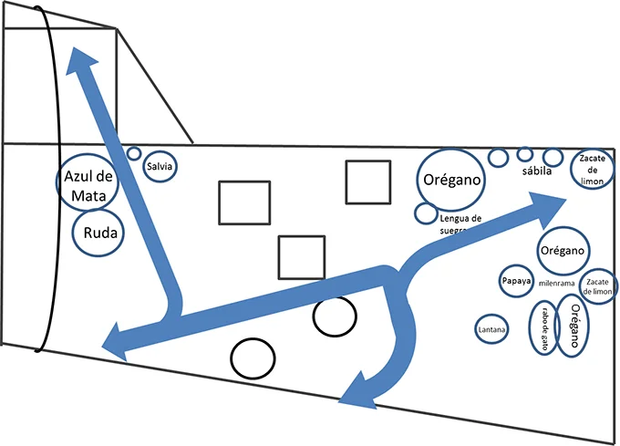 garden map.jpg