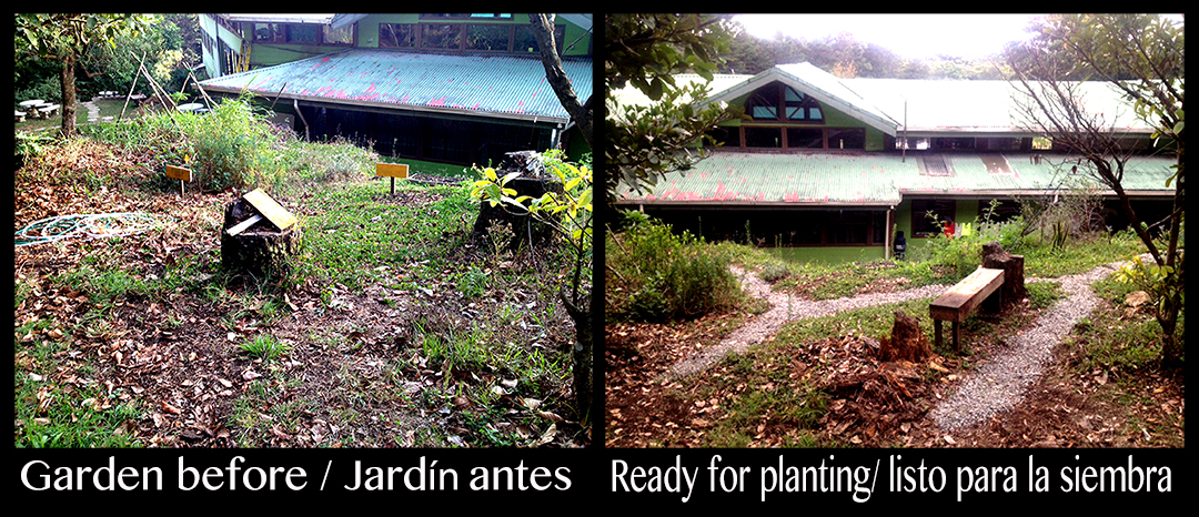 Medicinal Garden by Qingyao Li - Jardín de plantas medicinales 