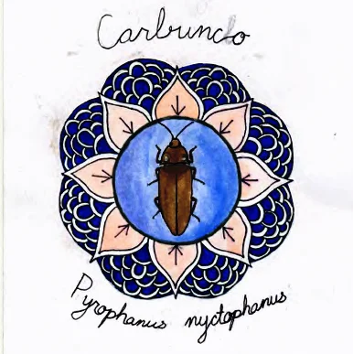 Enseñando bioluminiscencia por el arte - Teaching  Bioluminescence through Art