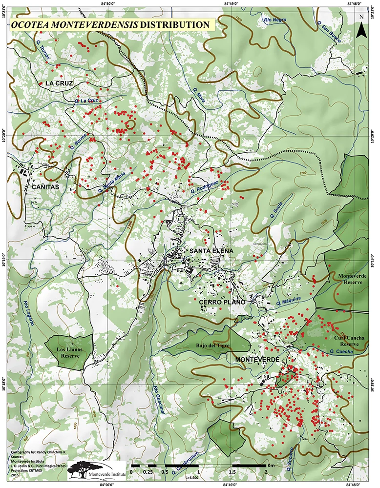 Map 1 Ocotea distrib_pic.jpg