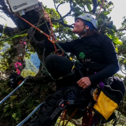 Research on climate change in the treetops of the Tropical Montane Cloud Forest - Investigación sobre el cambio climático en la cima de los árboles del bosque tropical montano. 