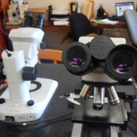 Conozcan nuestro laboratorio --- Meet our lab...
