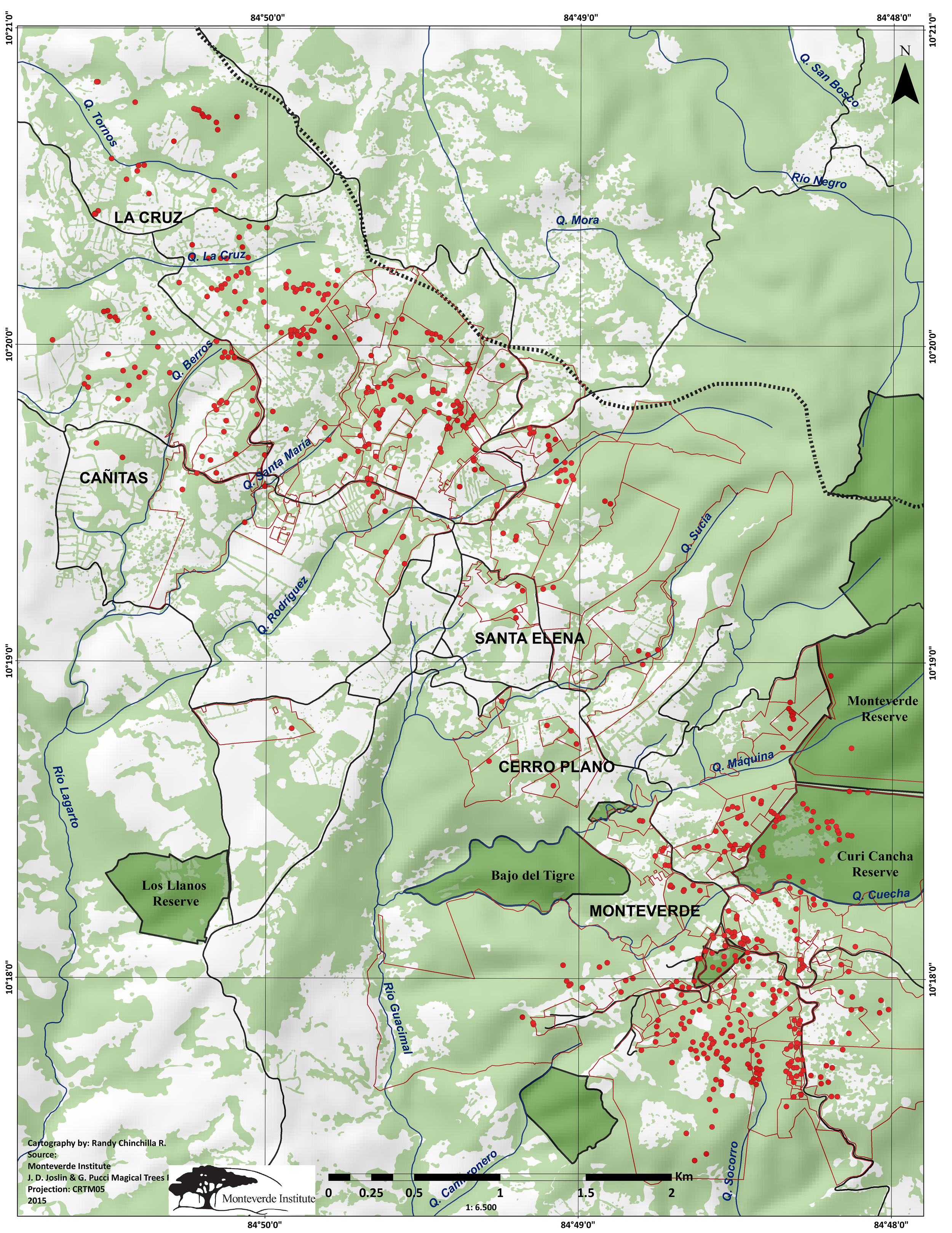 The red dots mark the location of individual trees and the red lines are property lines. (Click to enlarge). 