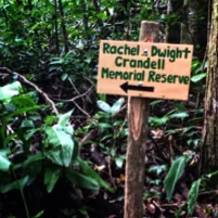 Internship - Rachel and Dwight Crandell Memorial Reserve - Pasantía 