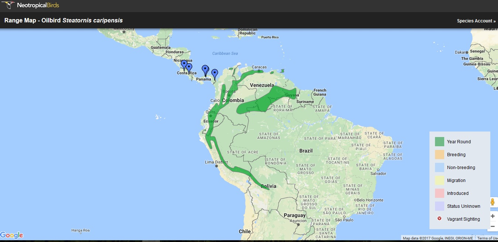 Fig. 1. Distribución del Guácharo ( Steatornis caripensis ). Tomado de: http://neotropical.birds.cornell.edu/portal/species/distribution?p_p_spp=223931
