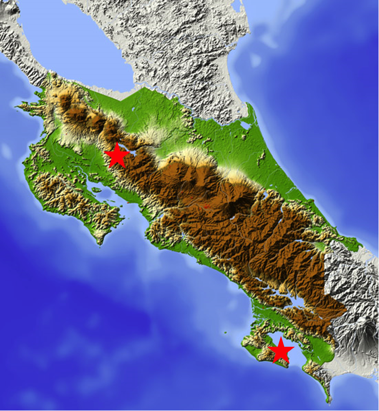 Places where I examined and collected Billia in Costa Rica. Upper star - Monteverde. Lower star, Puerta Jimenez, Osa.