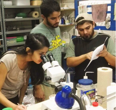 Equipo trabajando en laboratorio de Entomología, UNA.