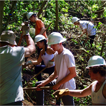 VOLUNTARIOS TRABAJANDO EN SENDERO PACÍFICO