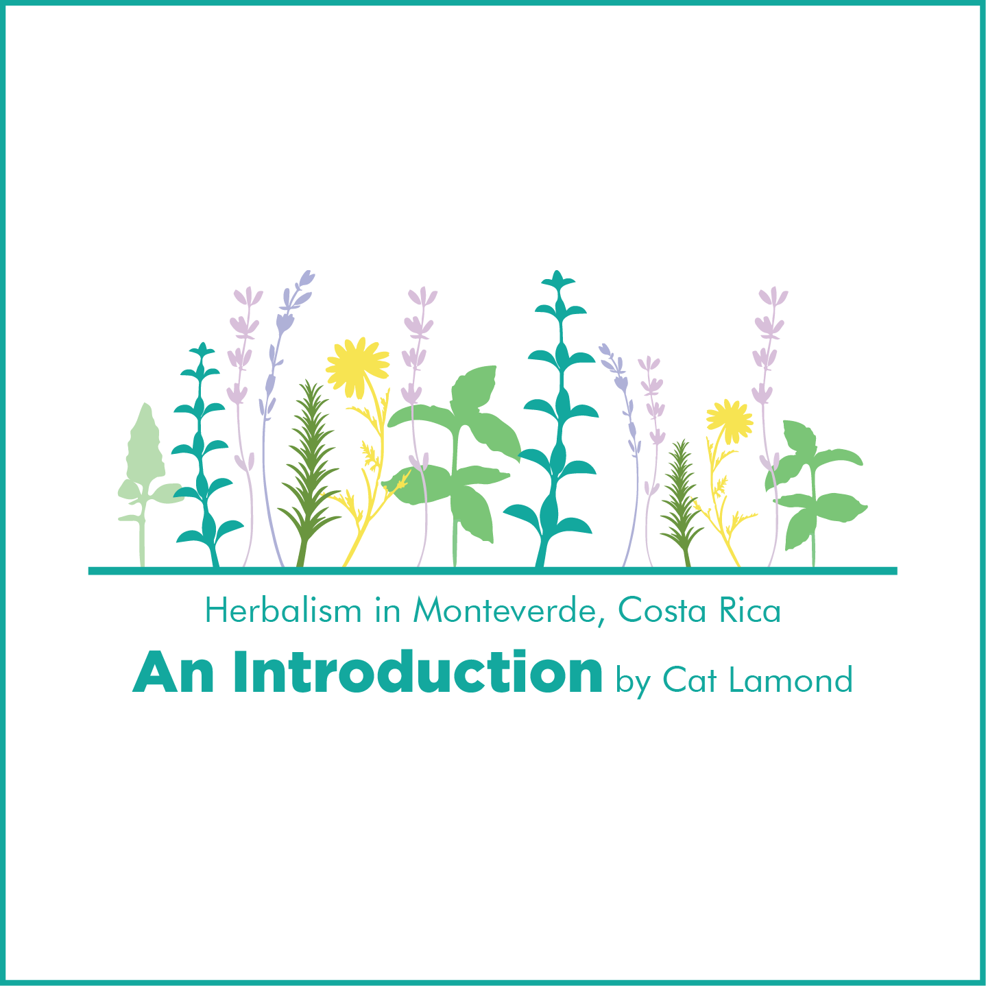 An Introduction to Herbalism in Monteverde, Costa Rica