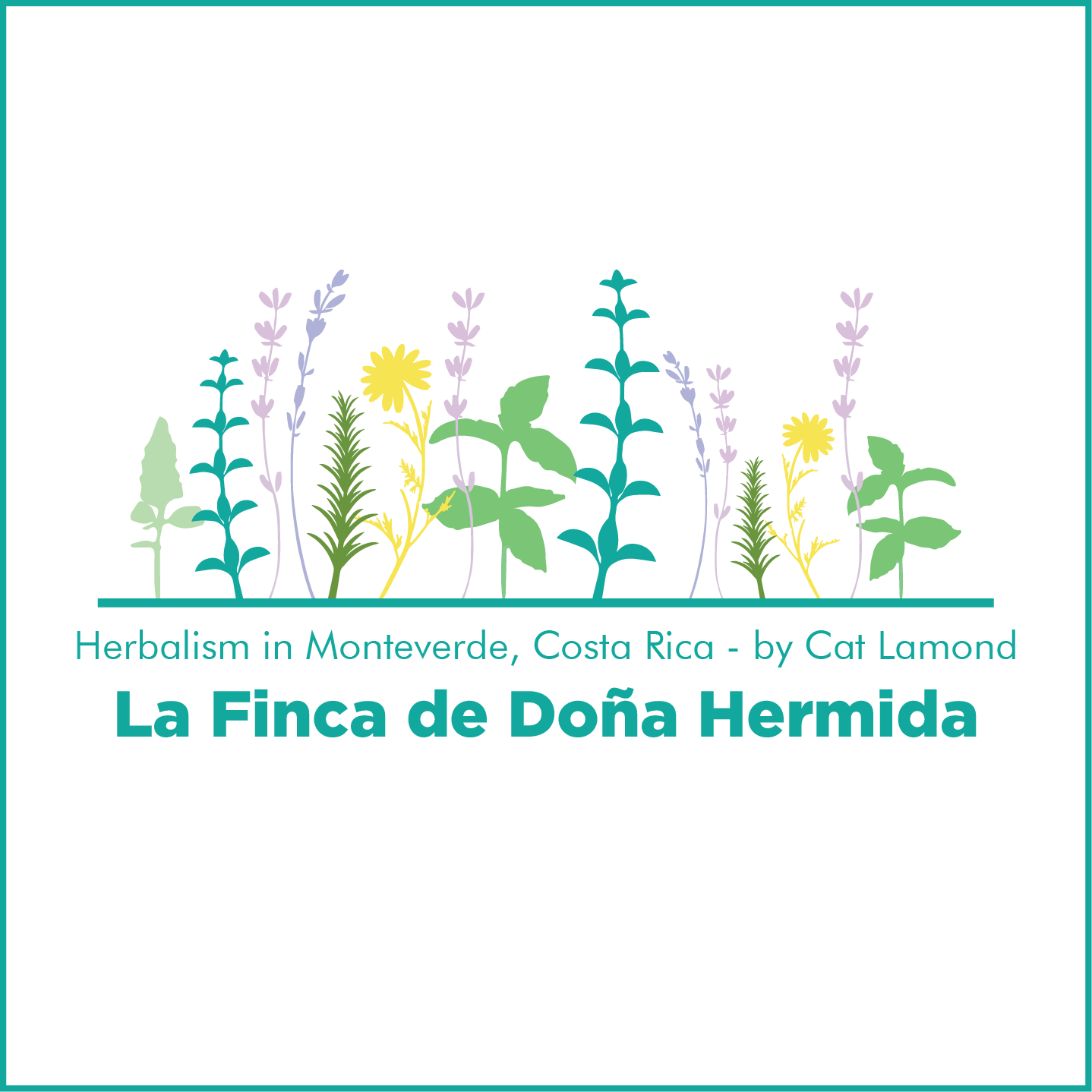 Herbalism in Monteverde, Costa Rica - La Finca de Doña Hermida