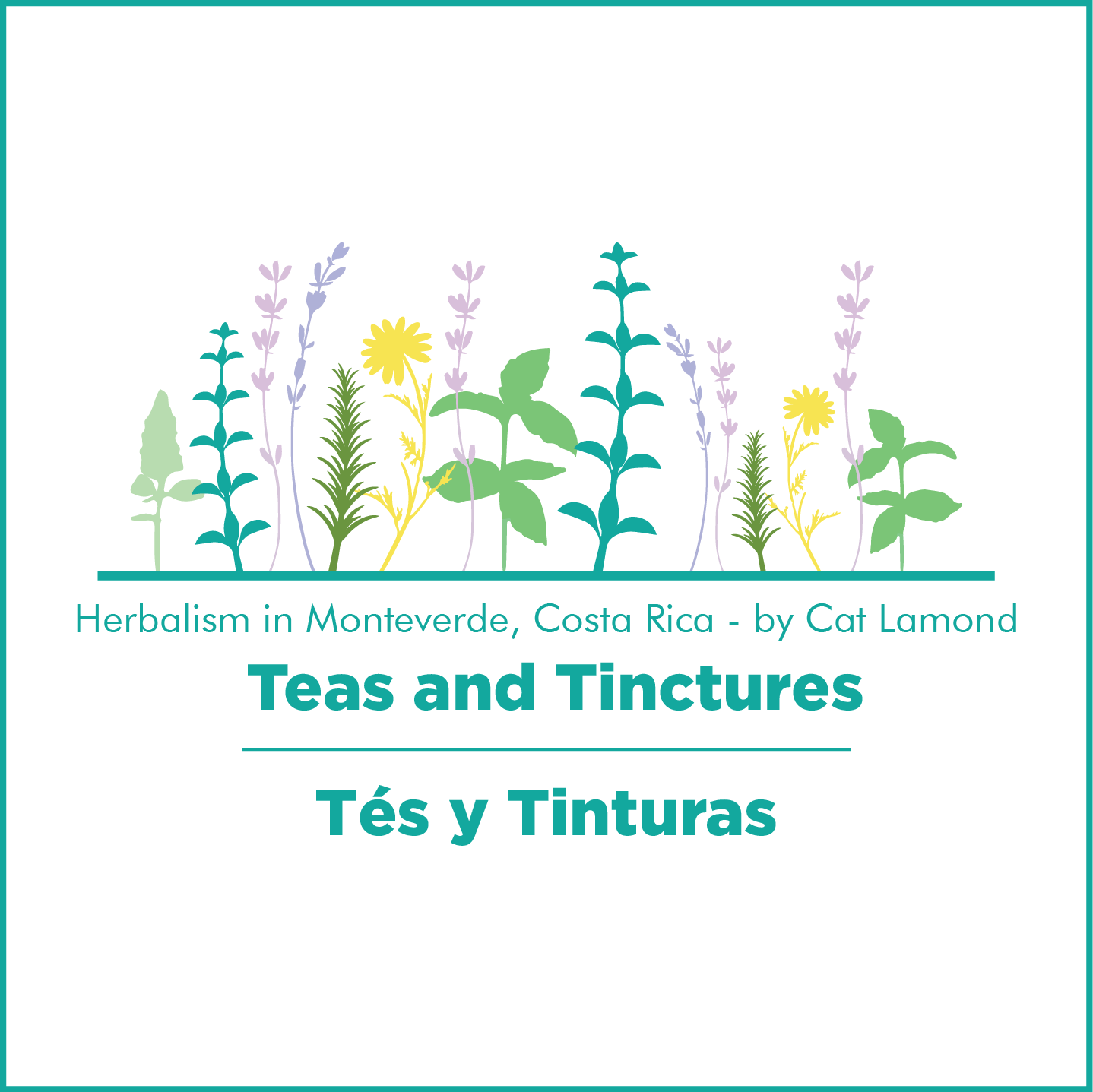 Herbalism in Monteverde, Costa Rica - Teas and Tinctures (Tés y Tinturas)