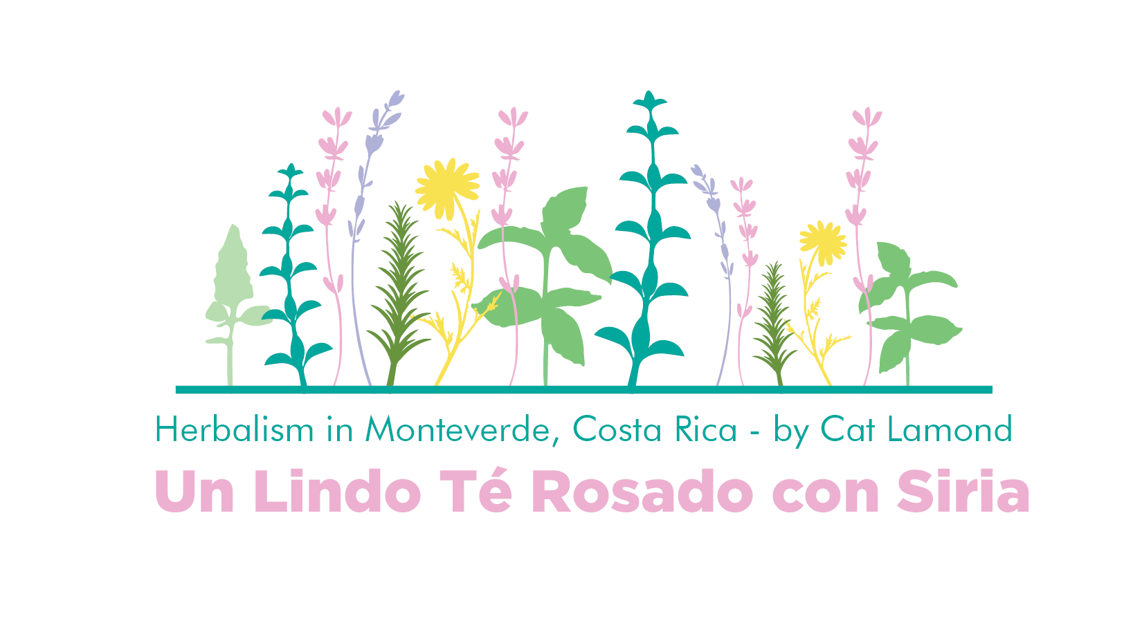 Header Te Rosado2.png