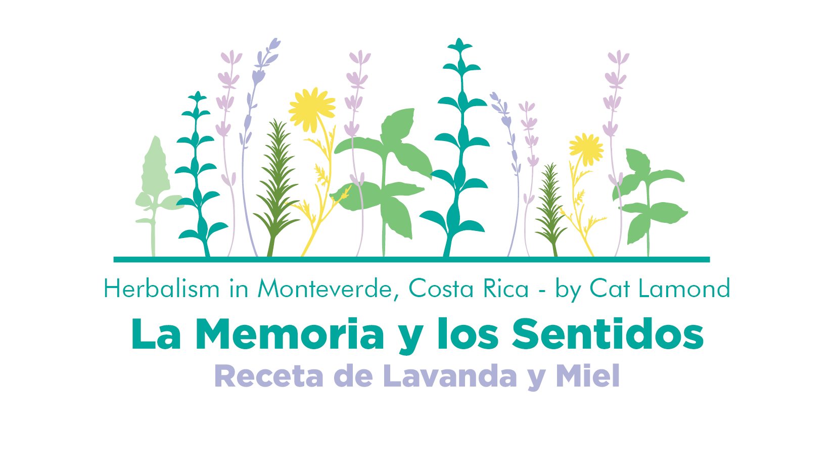 Lavanda15.png