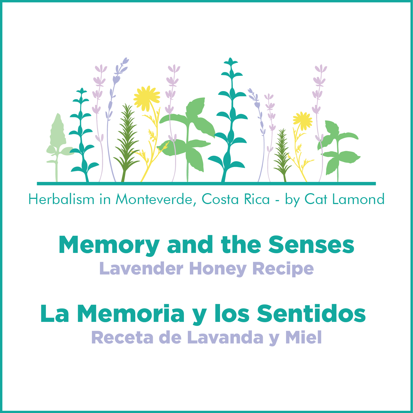 Memory and the Senses (La Memoria y los Sentidos )