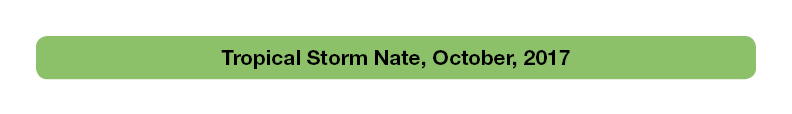 storm nate eng.png