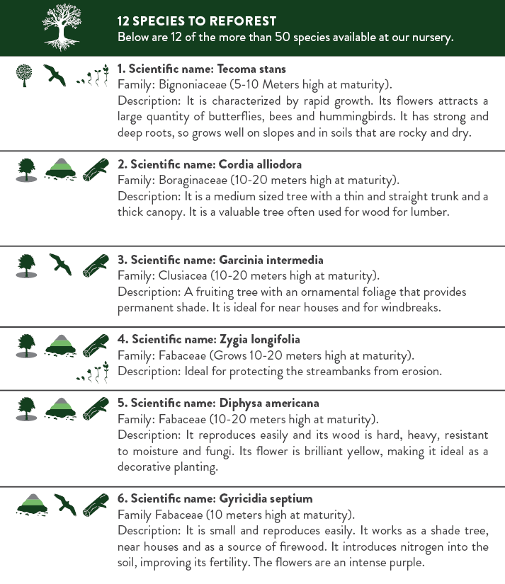 Booklet Reforestation Program ENG2.png