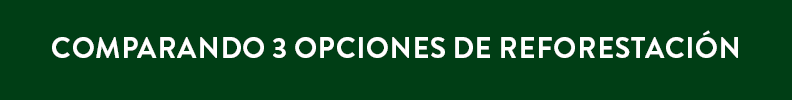 3opciones esp ref oct18.png