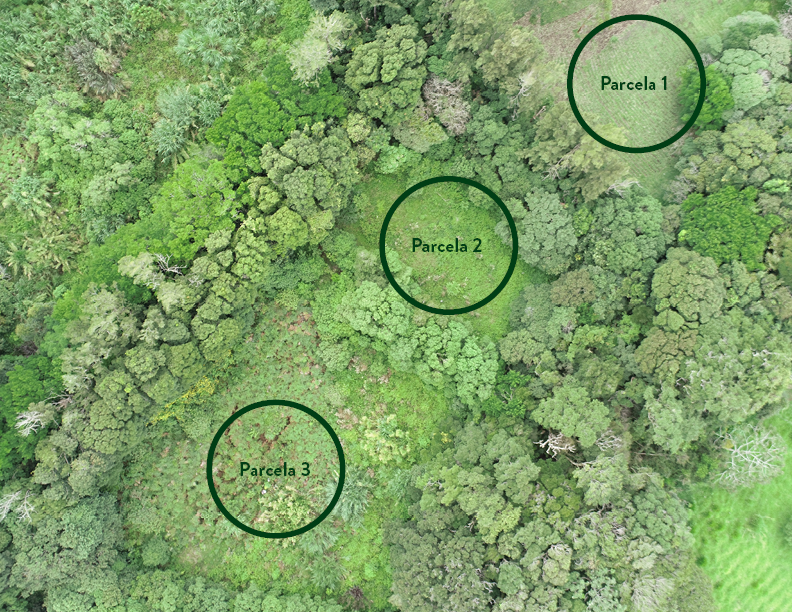 plot aereo esp ref oct18.png