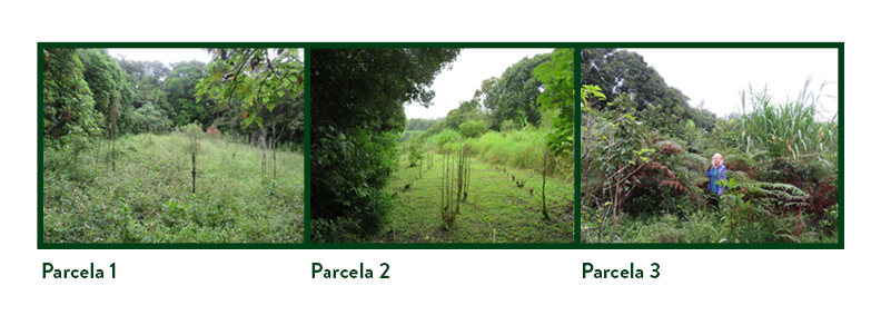 parcelas esp ref oct18.png