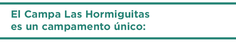 blog campa esp 2.png
