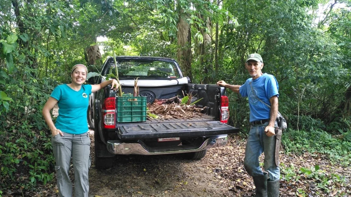 Monteverde Dis-Frutable