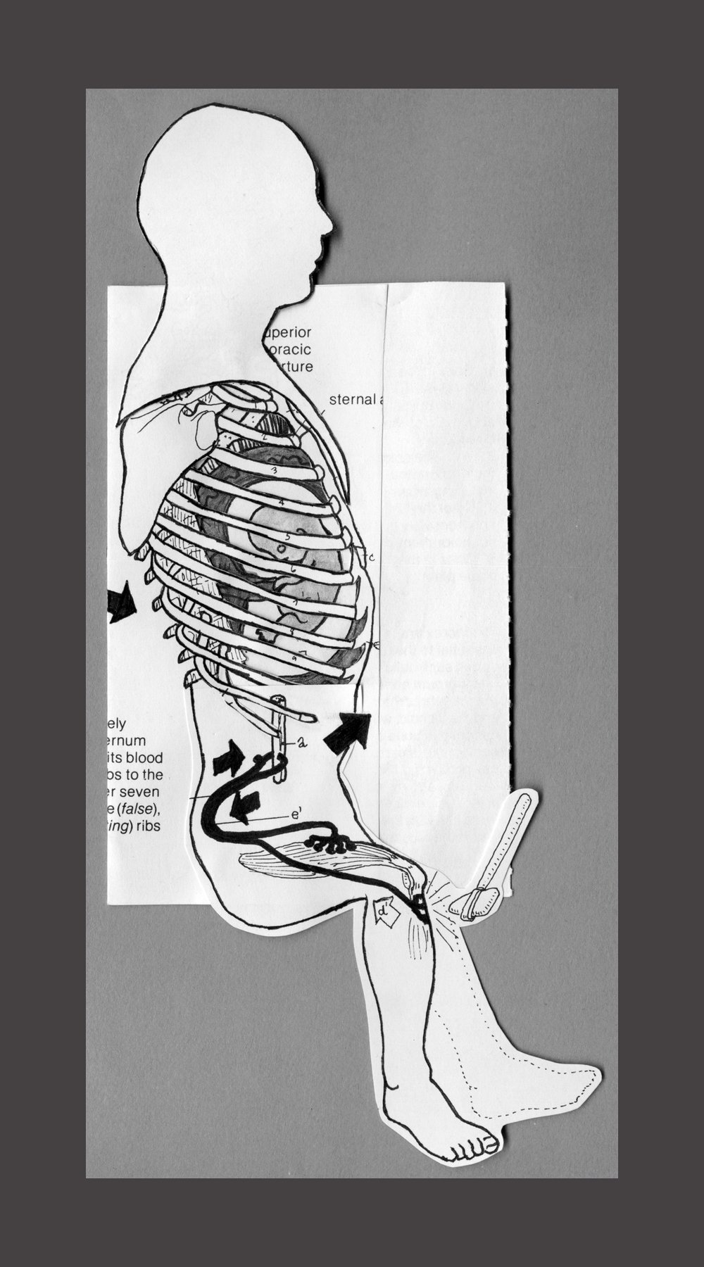 Patellar-reflex-with-fetus.jpg