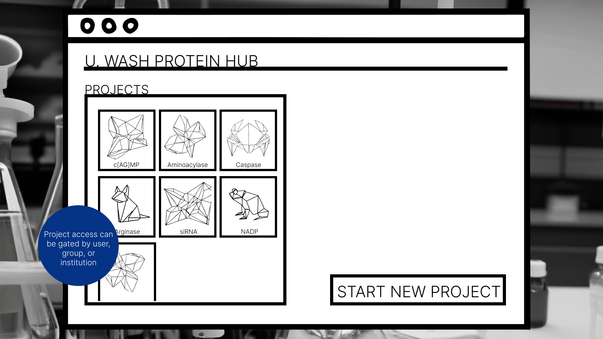 Lab Projects Page.png