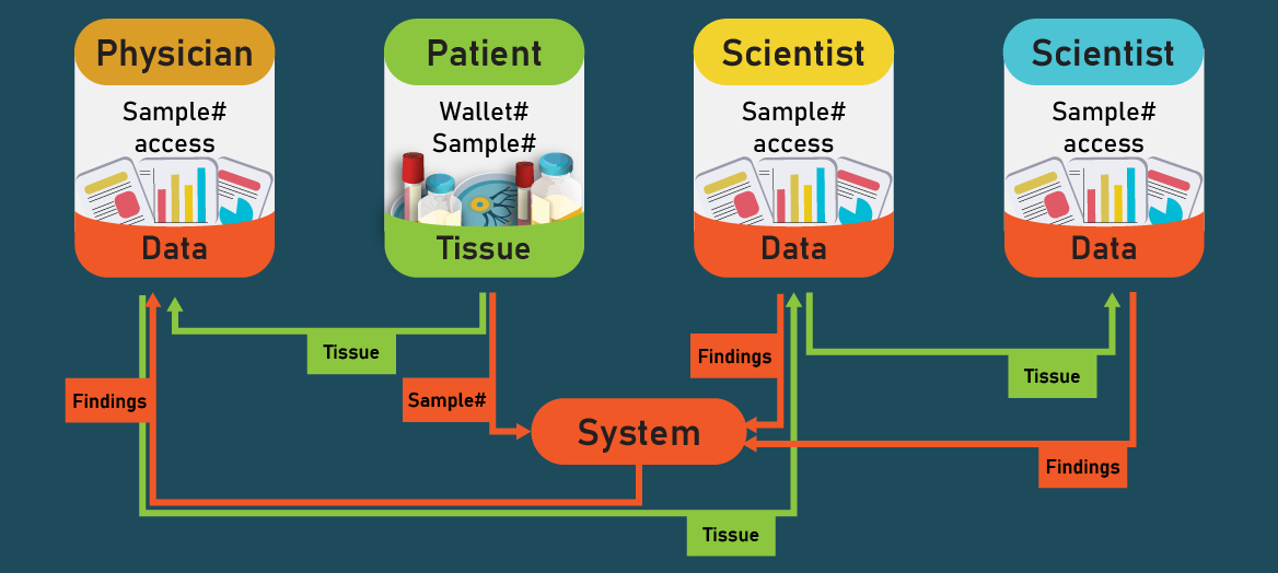 a system map connecting patient and scientist