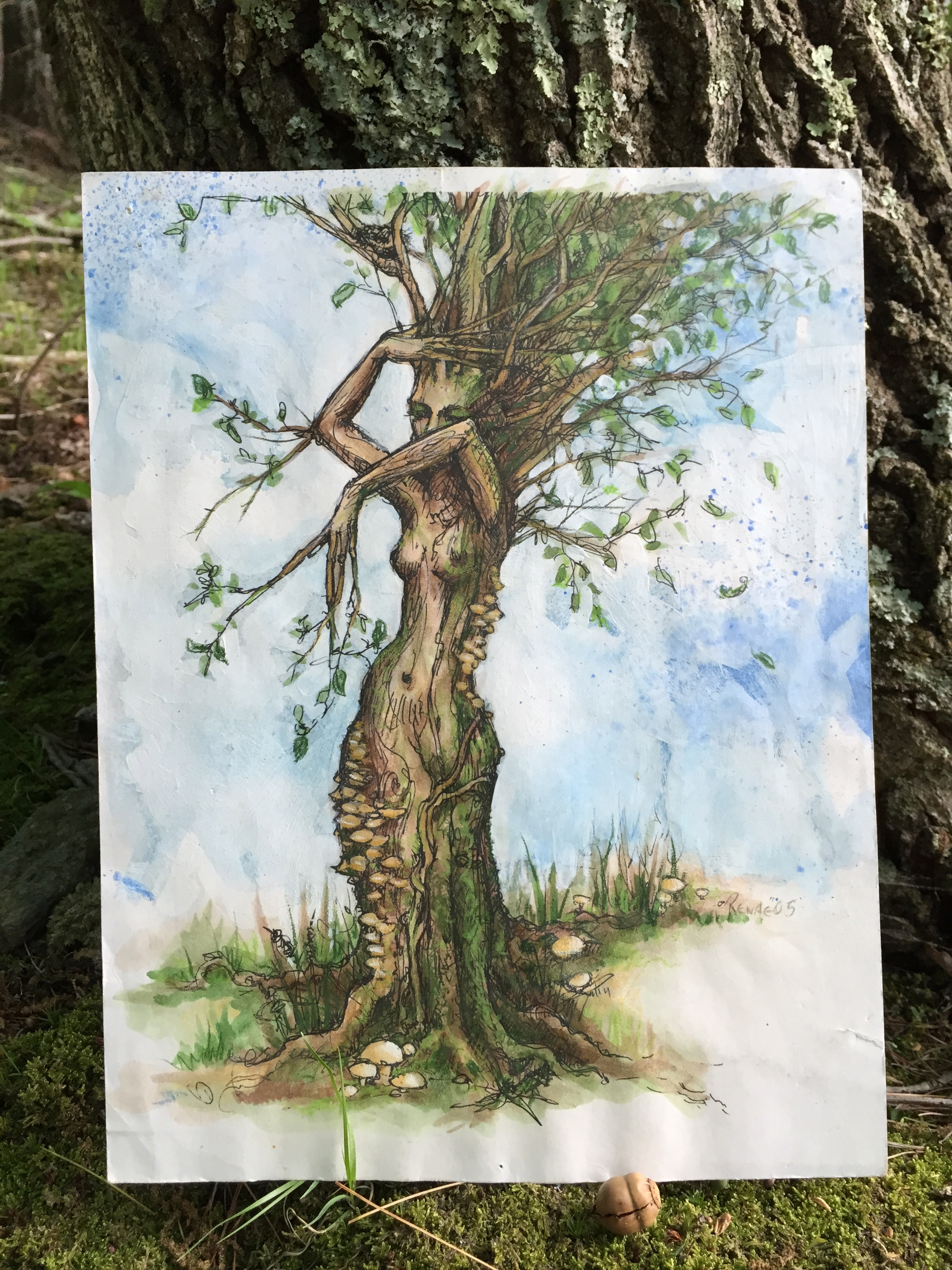 Elm Dancer