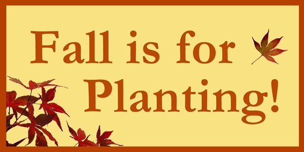 6 Reasons why Fall is for Planting
