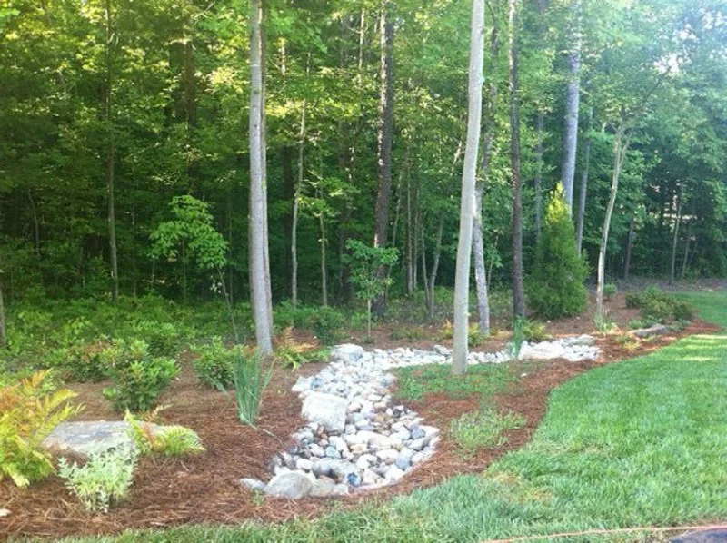 Dry Creek bed