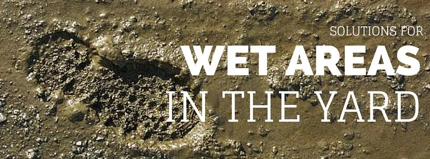Solutions for Wet Areas in the Yard