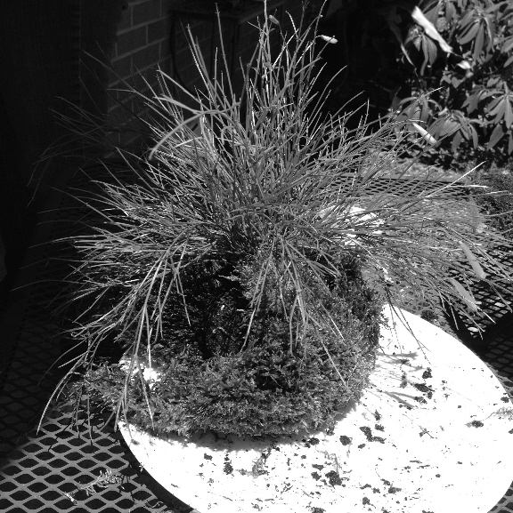 fig. 8