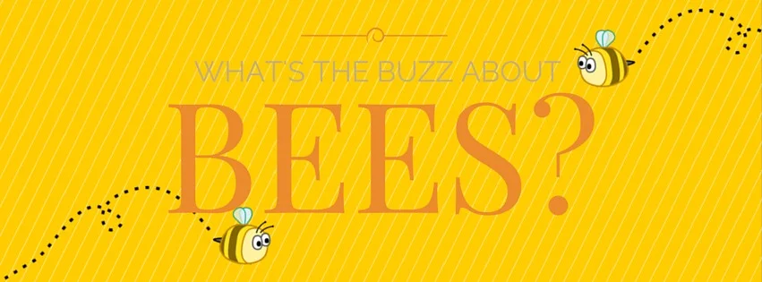 What's the Buzz About Bees?