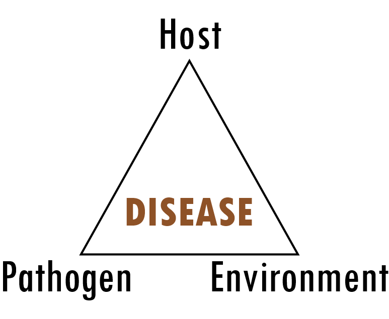 The Disease Triangle