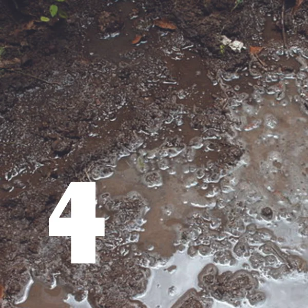 Drainage problems can lead to weeds