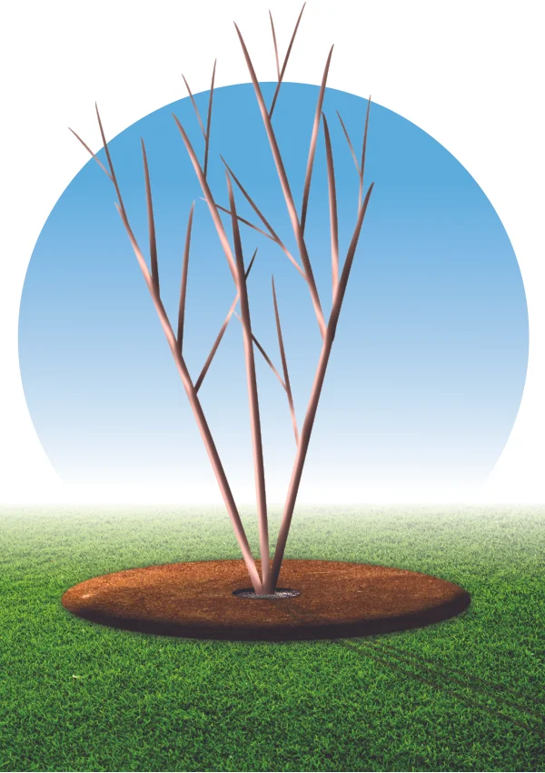 Proper tree mulching