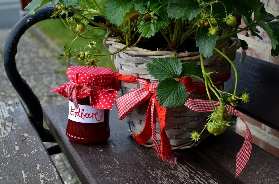 Strawberries are suited for container gardening