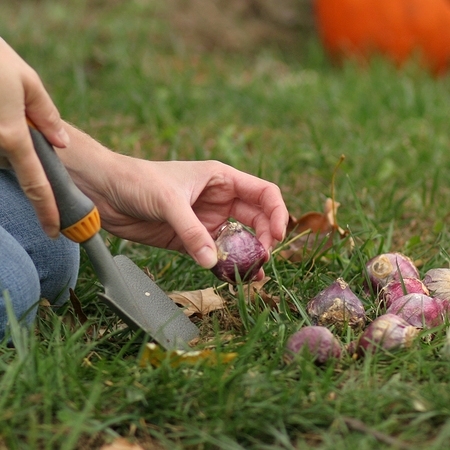 Fall garden to-do list