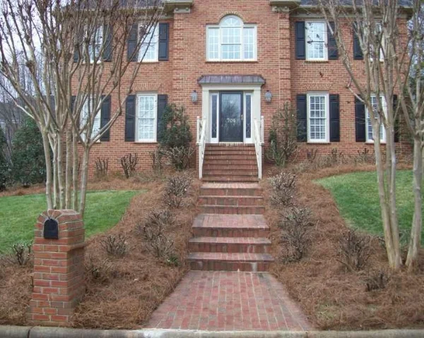Immediately after renovation pruning. Pruning was done in February.