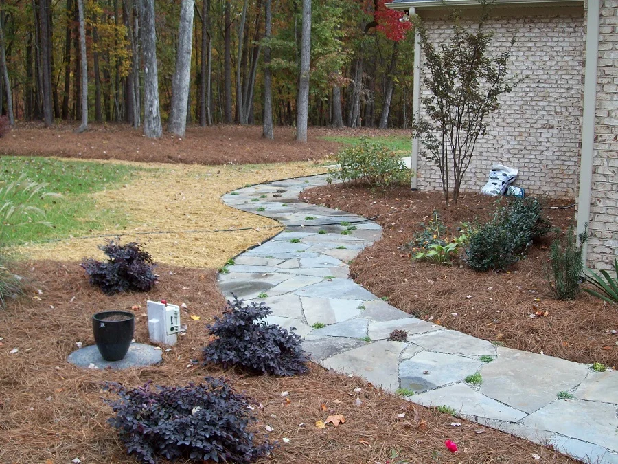 Applied properly, pine needle mulch gives a tidy, finished look. 