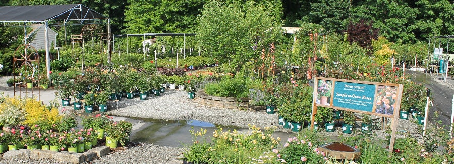Landscape Plant Shortages Landscape Plant Shortages