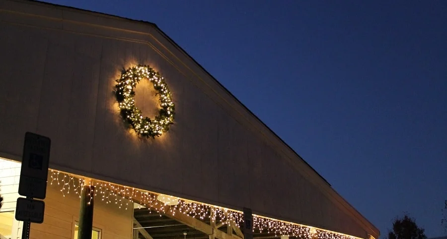 Xmas lights-min.jpg
